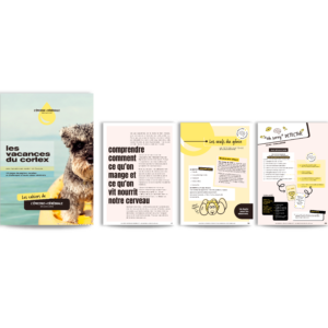 LES VACANCES DU CORTEX - Ebook